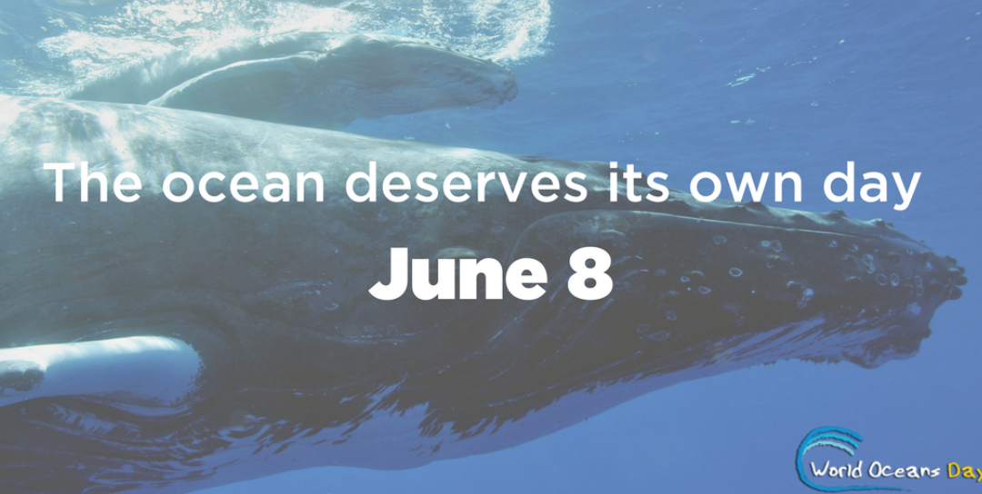 SeaChange Celebrates World Oceans Day
