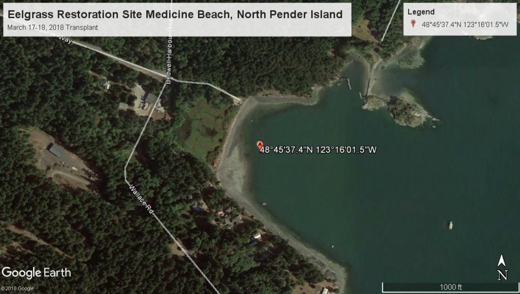 GPS location of Medicine Beach restoration site - SeaChange Marine