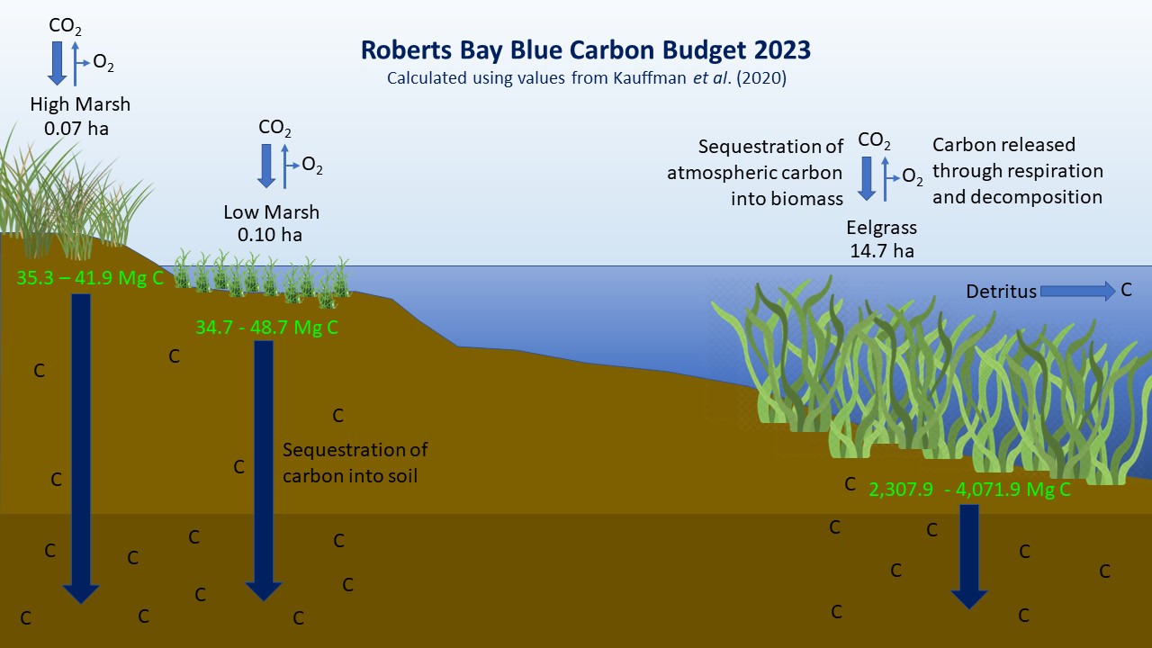 Roberts Bay – SeaChange Marine Conservation Society